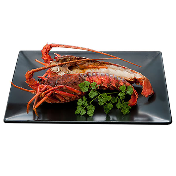 アウトレット送料無料 楽天市場 送料無料 徳島 吟月 伊勢海老ステーキ ２９４０１０５ ギフト館 イージャパンアンドカンパニーズ お1人様1点限り Lexusoman Com