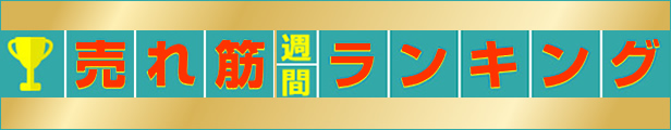 楽天市場】マルチプリンタ帳票 A5 白紙 2面 1セット(500枚:100枚×5冊