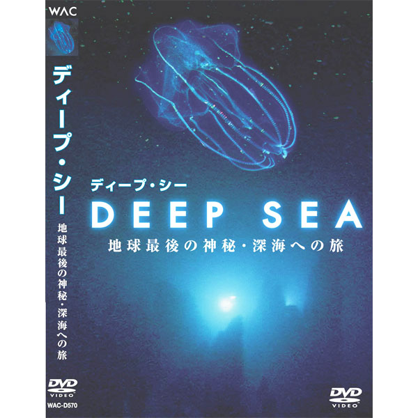 楽天市場 追跡可能メール便選択可 但し代金引換は不可 地球最後の神秘 深海への旅 Deep Sea Dvd Wac D570 スターアイ