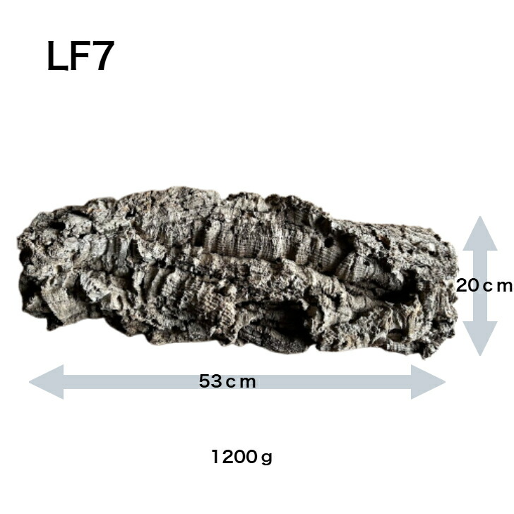 楽天市場】【cork-S1】バージンコルク コルク樹皮 Sサイズ 縦30-35 横