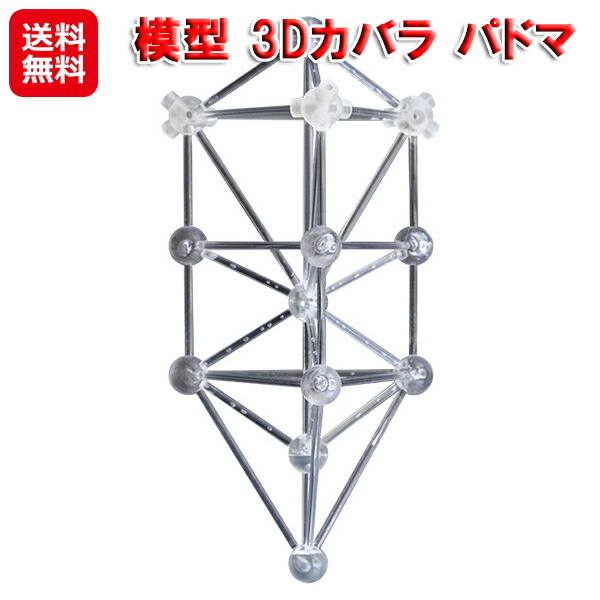楽天市場】3Dカバラ・パドマ（ステンレス） : トータルヘルス