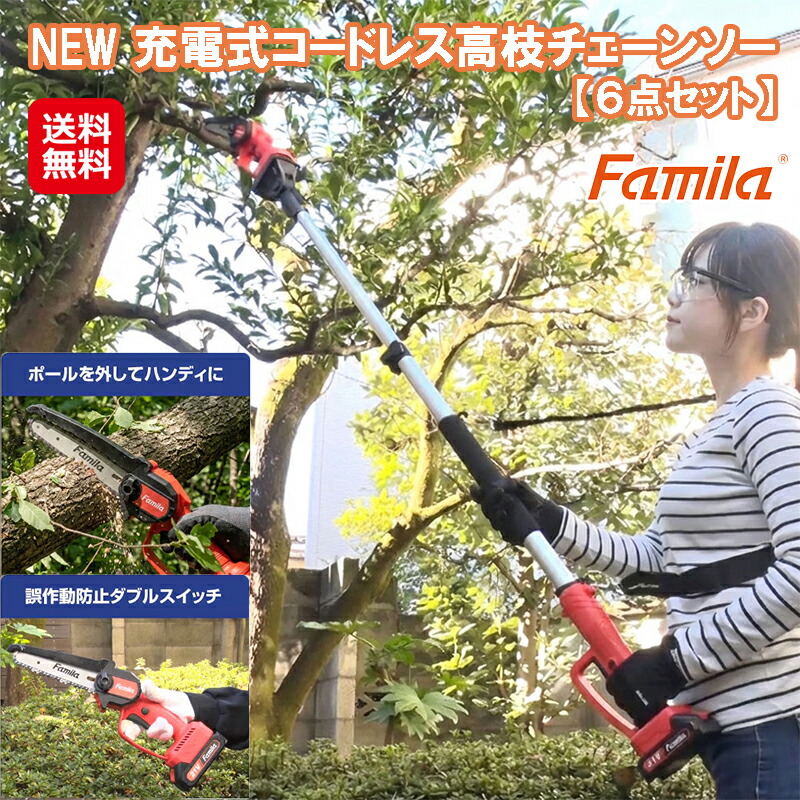 継続期間押さえる通貨価値｜【ファミラ 申し受ける式コードレス2WAY高枝チェーンソー(6点書き割り)】【貨物輸送無料】【尖んがり 2倍】高枝 電動 引き切り 電動引き切り 申し受ける式 高枝切りバサミ 高枝高枝切り電動チェーンソー 電動ノコギリ ハンドソー 電ノコ 庭木 切り落とす 太枝 切りはなす 物の具 dap
