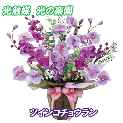 造花 フラワーアレンジメント 光触媒 人工植物 胡蝶蘭 母の日 プレゼント【光触媒　光の楽園　ツインコチョウラン】【送料無料】【ポイント 倍】一つ一つ丁寧に人の手によって造られている人工植物です。 sl｜ジャパンネットライフ