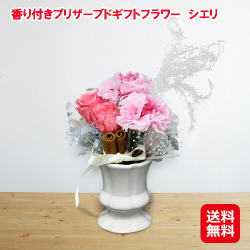 プリザーブドフラワー カーネーション 生花 贈り物 記念日 花 香り付き 香り付きプリザーブドギフトフラワー シエリ 送料無料 ポイント 倍 嗅覚でも楽しめる新しいプリザーブドフラワー Is 記念日 お祝いなどの贈り物に最適 送料無料 ポイント 倍 配送の目安4 5日程度