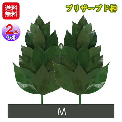 プリザーブドフラワー 仏花 榊 造花 日本製 水換え不要 花 お供え<br>【プリザーブド榊 Mサイズ】【送料無料】【ポイント 2倍】<br>丹波産の高級椿葉を使用した国産ブリザーブド榊！ sl<br>