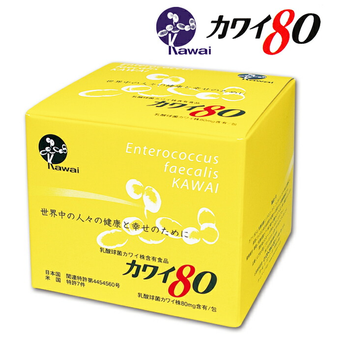 楽天市場】Kawai カワイ160 乳酸球菌カワイ株 160mg含有/包 100包入り