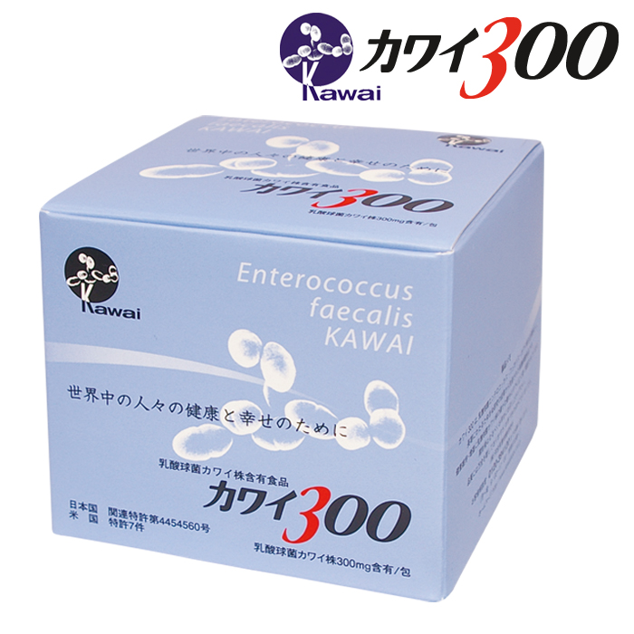 楽天市場】Kawai カワイ160 乳酸球菌カワイ株 160mg含有/包 100包入り
