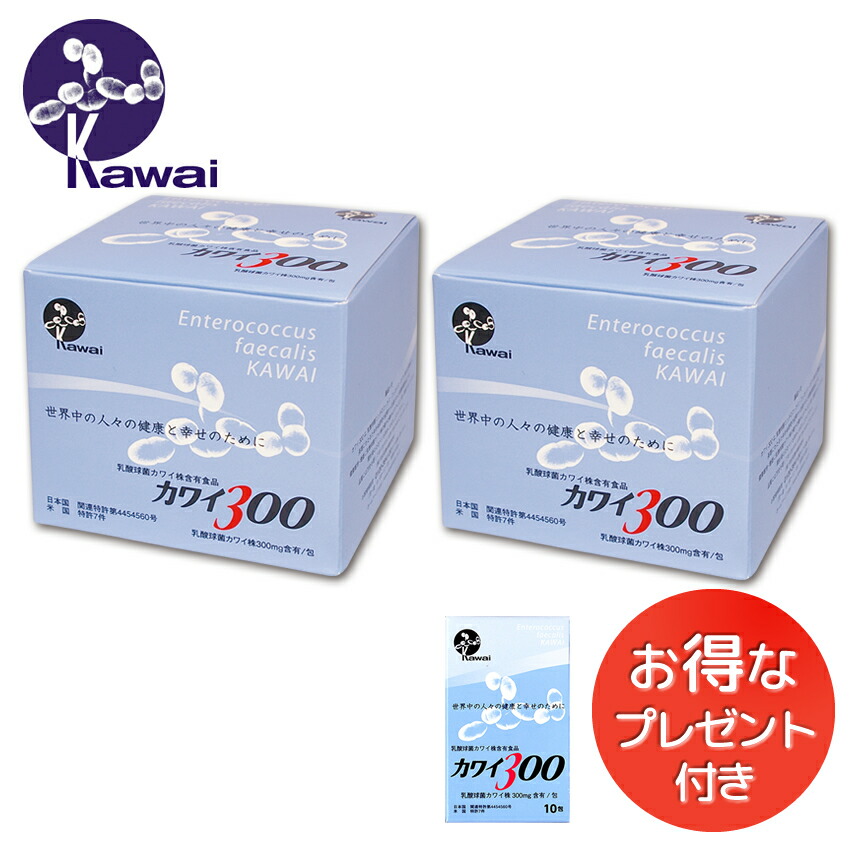 楽天市場】Kawai カワイ300 乳酸球菌カワイ株 300mg含有/包 100包入り