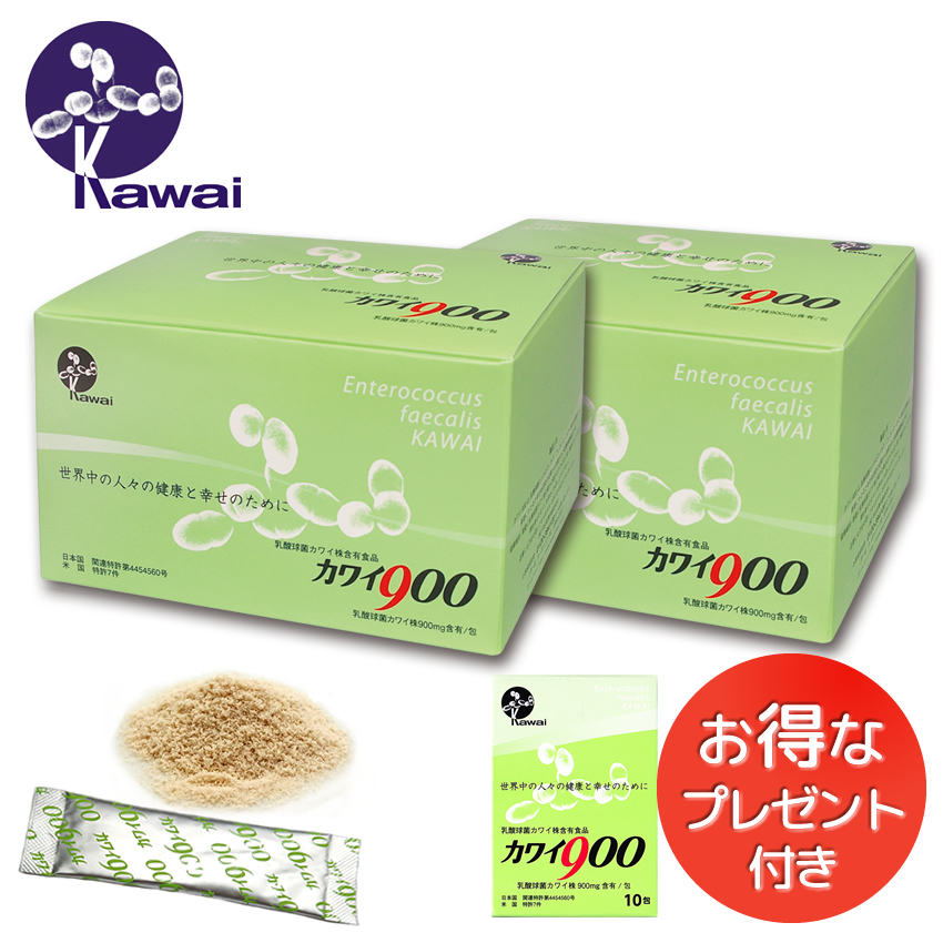 楽天市場】Kawai カワイ160 乳酸球菌カワイ株 160mg含有/包 100包入り