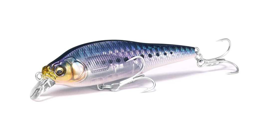 楽天市場】メガバス(Megabass) X-80SW 極上カラー 【釣り