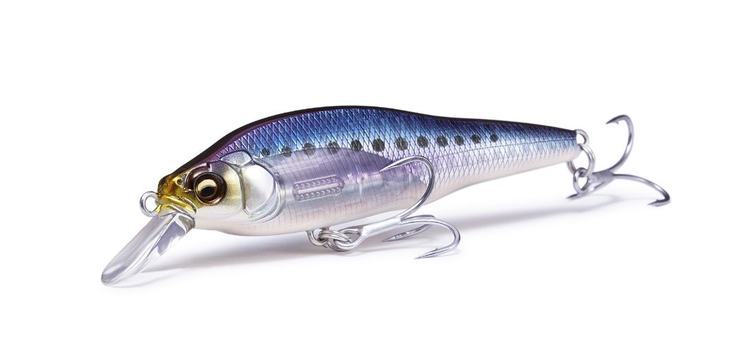 Megabass メガバス TYPEX タイプエックス セット Megabass メガバス タイプX Megabass Type-X : 松本釣具店Yahoo