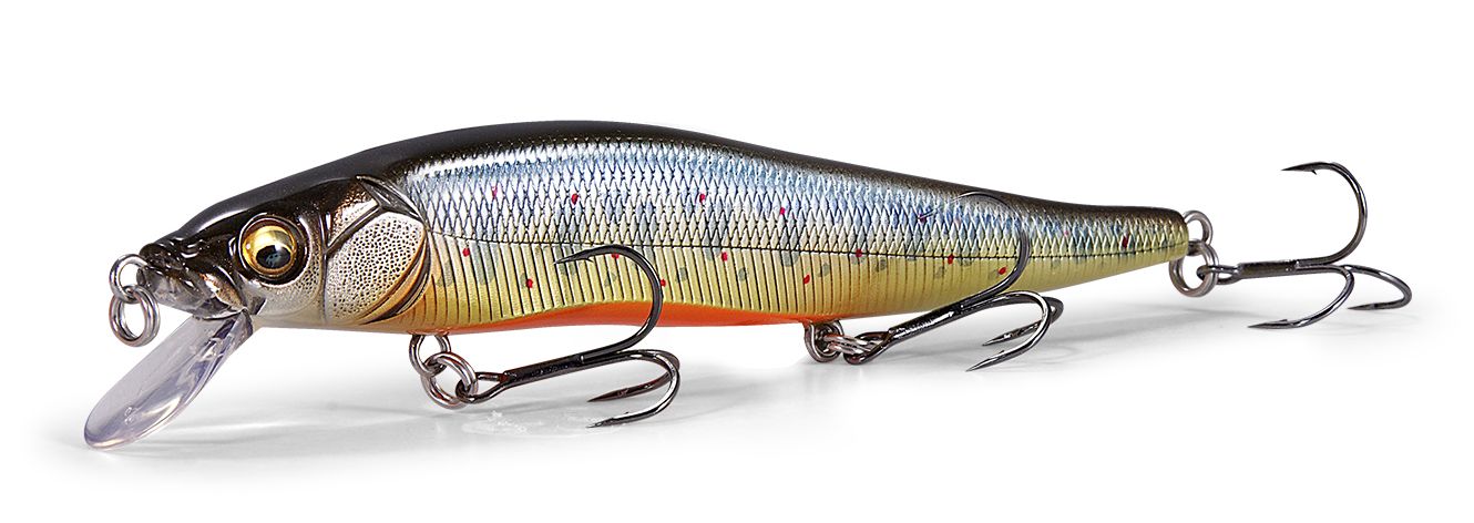 メガバス 限定 PM DOJYO ドジョウ GH120 GH110 GH95 Megabass(メガバス) GH120 限定カラー【ドジョウ】 | アウトドア