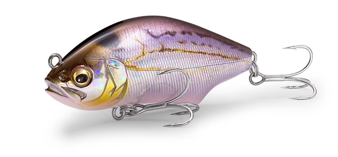 楽天市場】タナジグ あいやーポッパー アワビ 160mm #ピンクアワビ