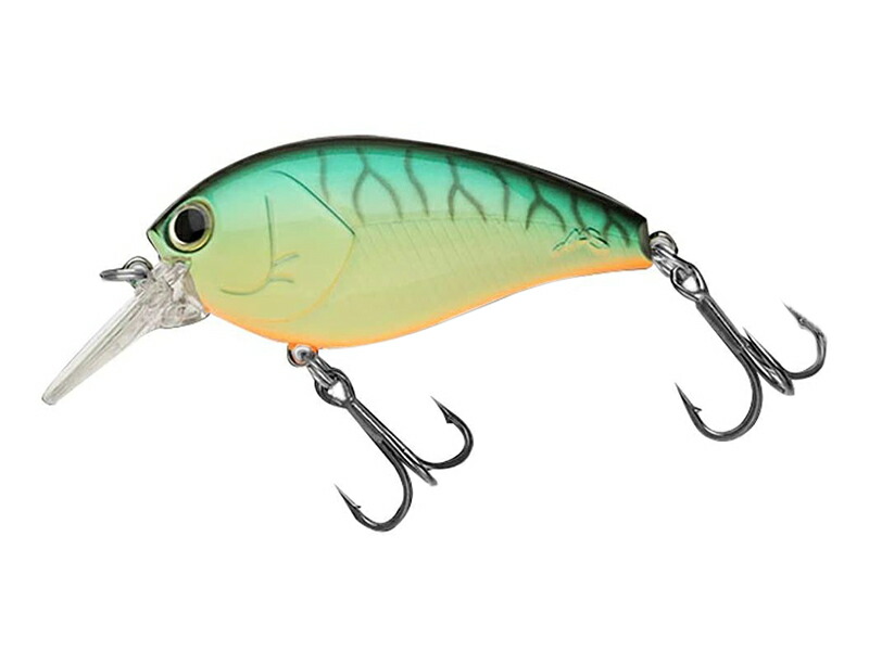 楽天市場】ノリーズ トラウトプログラム アンビシャス61L