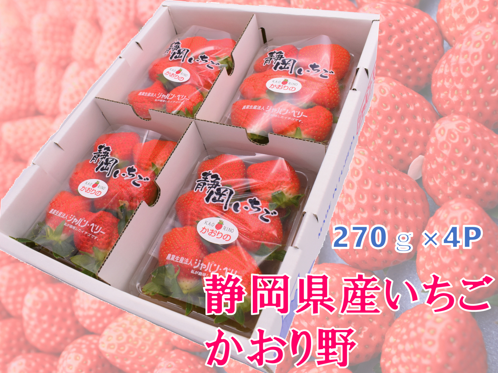 楽天市場 送料無料 イチゴ かおり野 静岡県産 ４パック 産地直送 国産 1キロ 苺 いちご 贈答用 果物 フルーツ ジャパンベリー