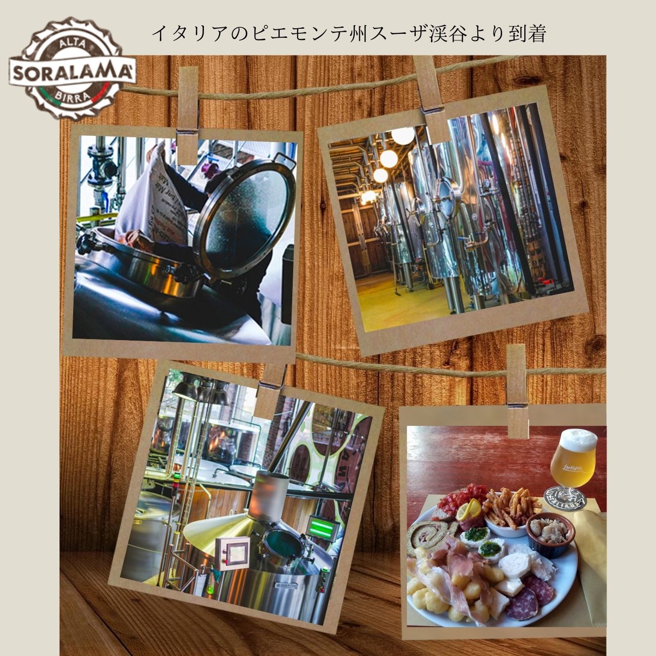 57 Off ビール イタリア直輸入 クラフトビール 750ml Soralama Iga イタリアングレープエール Bella Gold ソララマ 送料無料 イタリアビール ギフト お洒落 おしゃれ パーティ 輸入ビール 海外ビール 地ビール ピエモンテ お中元 Cmdb Md