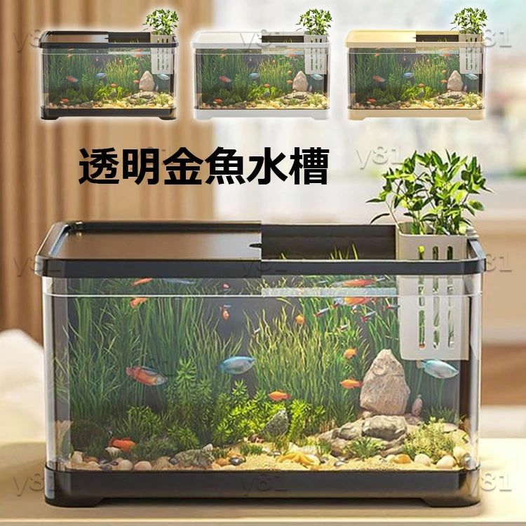 90センチ水槽　金網付き 金魚水槽をスポットメンテナンス！90cm水槽のコケ掃除