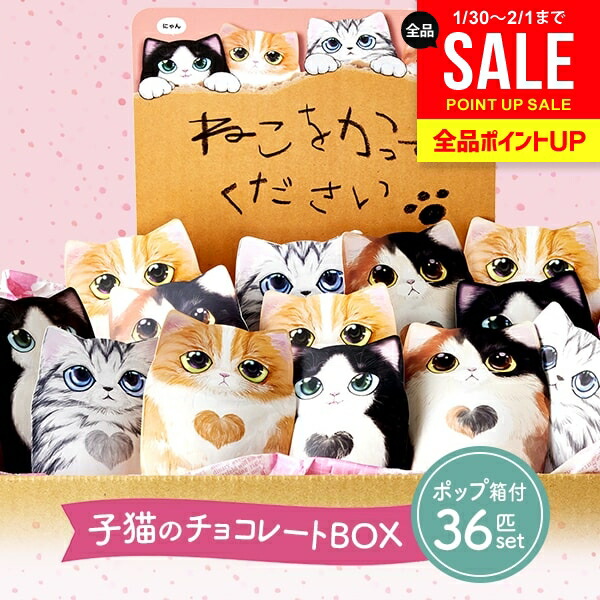 楽天市場】きまぐれねこにゃん クランチチョコ 20個装入 { 駄菓子 お