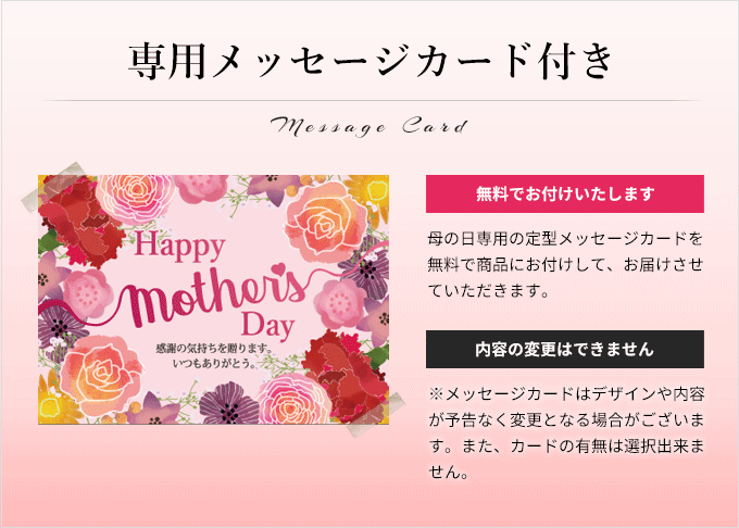 今月限定 特別大特価 楽天市場 遅れてごめんね 10日以降順次お届け 母の日 プレゼント 花束 ブーケ ドライフラワー アレンジ スワッグ 花 ギフト カスミソウカラフル虹色ブーケ 母の日ギフト 21 花鉢 鉢花 生花 おしゃれ かわいい 人気 安心のメーカー直送