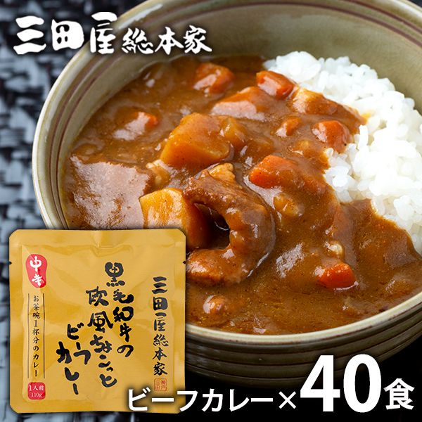 お中元 夏ギフト 内祝い お返し 送料無料 お取り寄せ ギフト セット 黒毛和牛の欧風ちょこっとビーフカレー 40食 三田屋総本家 SD-40 結婚 出産 快気祝い 内祝 引っ越し 引越し ご挨拶 新築 お祝い プレゼント おすすめ 人気 メーカー直送|ジャパンギフト