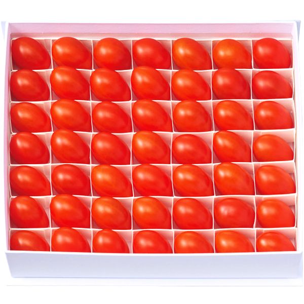 トマト オスミック ファースト プリンセス 450g