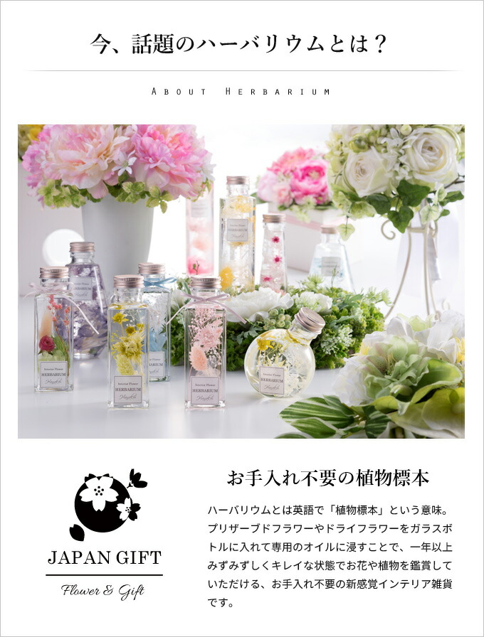 贅沢 ハーバリウム ハニーテール ブラック ゴアナクロー 角瓶 観葉植物 インテリア 雑貨 プリザーブドフラワー 花 ドライフラワー Yourrequestentertainment Com 贅沢 ハーバリウム ハニーテール ブラック ゴアナクロー 角瓶 観葉植物 インテリア 雑貨 プリザーブドフラワー 花 ドライフラワー Yourrequestentertainment Com