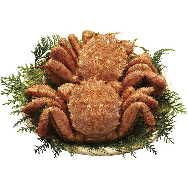 魚介類 海産物 母の日 ギフト 北海道産 ボイル 毛がに 毛蟹 320g 2尾 セット 詰め合わせ かに カニ 蟹 食品 お取り寄せ グルメ 内祝い お返し 出産内祝い 結婚内祝い 結婚祝い 出産祝い 香典返し 快気祝い プレゼント 送料無料 320*2 母の日ギフト2026
