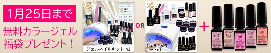 買収 プロ用ヘアコスメnetsbeeパラジェル プロマスターキット LED