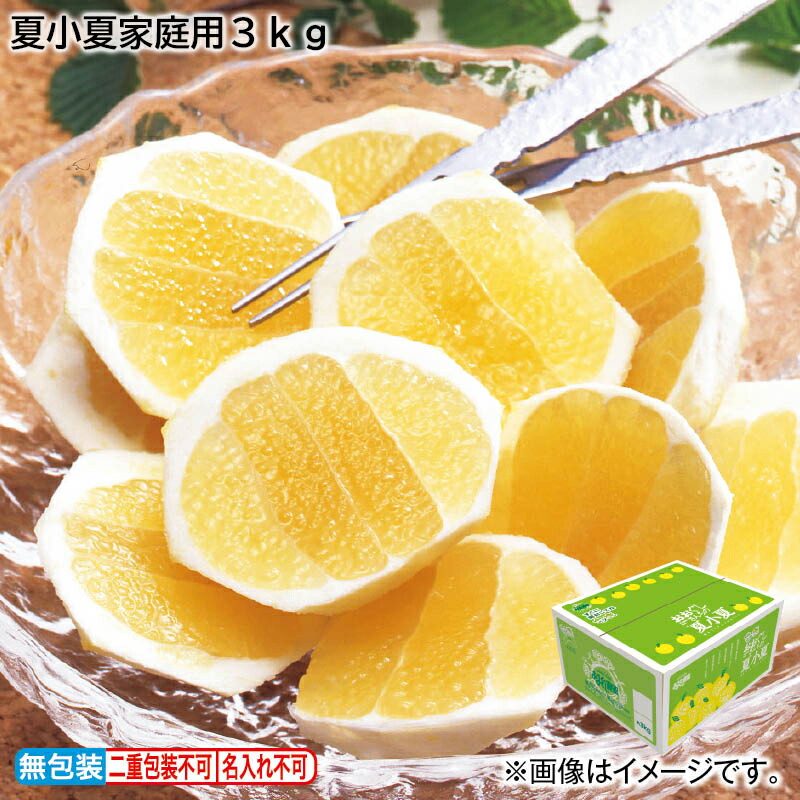 郵便局物販サービスのお中元・夏ギフト特集2024