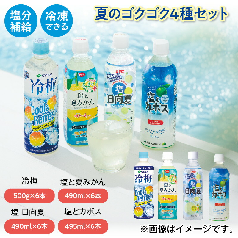 【月末限定セット】食品サンプル　ドリンク4点セット　8/31 23：59まで 高千穂牧場ドリンク&ヨーグルトセット《ご入金翌月の中旬～下旬