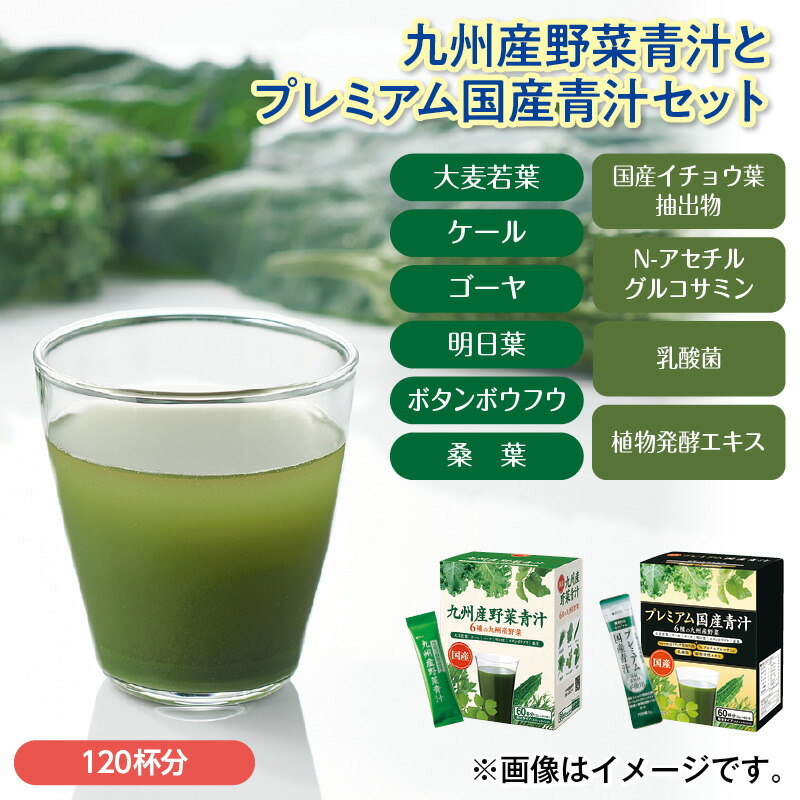 楽天市場】九州産 野菜青汁 42g 芙蓉薬品 粉末タイプ 青汁