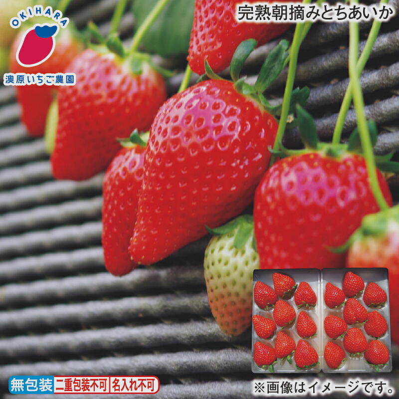 完熟朝摘みとちあいか