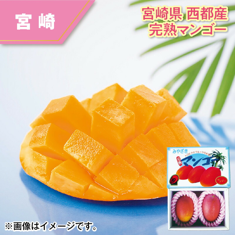 宮崎県 西都産 完熟マンゴー ミニマンゴー わけありマンゴー マンゴー 送料込み ギフト プレゼント 贈答 お取り寄せ お土産 (レビュー記入で300円OFFクーポン配布中)