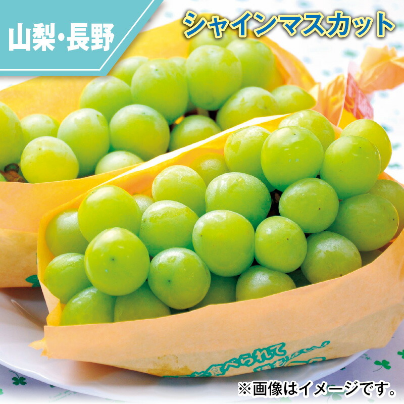 楽天市場】シャインマスカット 2房(1.1kg) 2房(1.2kg) 3房(1.6kg