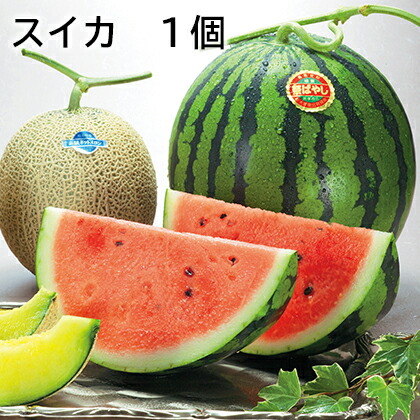 スイカ １個 送料込み ギフト プレゼント 贈答 お取り寄せ お土産 (レビュー記入で300円OFFクーポン配布中)