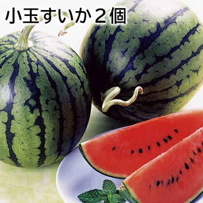 小玉すいか２個 送料込み ギフト プレゼント 贈答 お取り寄せ お土産 (レビュー記入で300円OFFクーポン配布中)