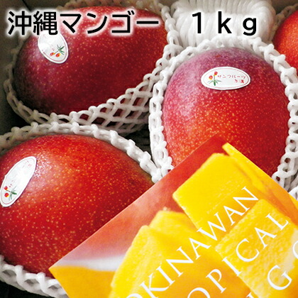 沖縄マンゴー １ｋｇ ２ｋｇ 送料込み ギフト プレゼント 贈答 お取り寄せ お土産 (レビュー記入で300円OFFクーポン配布中)