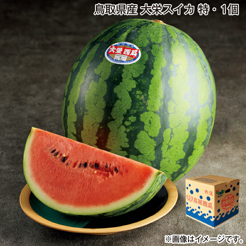 お中元 鳥取県産　大栄スイカ　特・１個 御中元 夏ギフト ギフト 贈答 送料込み お取り寄せ お土産  (レビュー記入で300円OFFクーポン配布中)