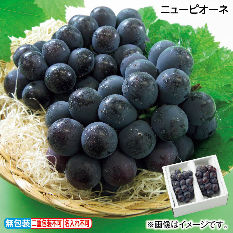早割期間中！【通常価格5,800円⇒5,220円】お中元 ニューピオーネ 御中元 夏ギフト ギフト 贈答 送料込み お取り寄せ お土産  (レビュー記入で300円OFFクーポン配布中)