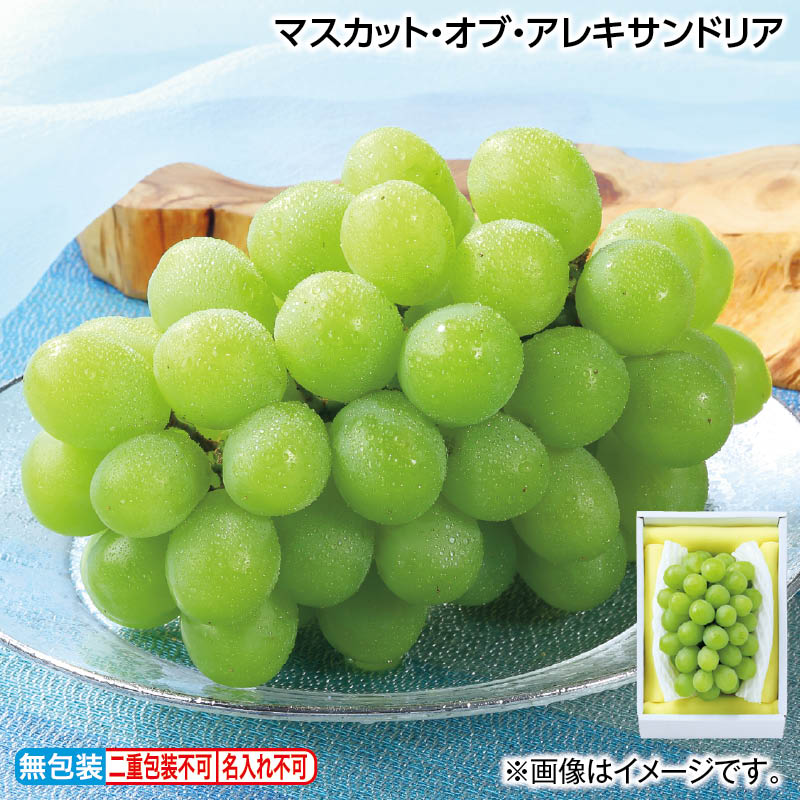 早割期間中！【通常価格5,800円⇒5,270円】お中元 マスカット・オブ・アレキサンドリア 御中元 夏ギフト ギフト 贈答 送料込み お取り寄せ お土産  (レビュー記入で300円OFFクーポン配布中)