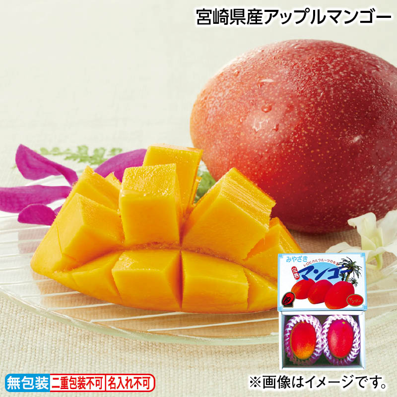 お中元 宮崎県産アップルマンゴー 御中元 夏ギフト ギフト 贈答 送料込み お取り寄せ お土産  (レビュー記入で300円OFFクーポン配布中)