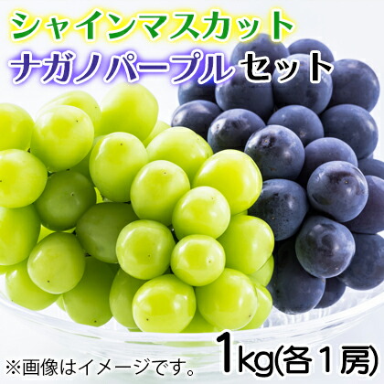シャインマスカット・ナガノパープルセット　１ｋｇ（各１房） 送料込み ギフト プレゼント 贈答 お取り寄せ お土産 (レビュー記入で300円OFFクーポン配布中)