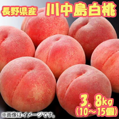 長野県産川中島白桃糖度１２度以上 送料込み ギフト プレゼント 贈答 お取り寄せ お土産 (レビュー記入で300円OFFクーポン配布中)｜郵便局物販サービス