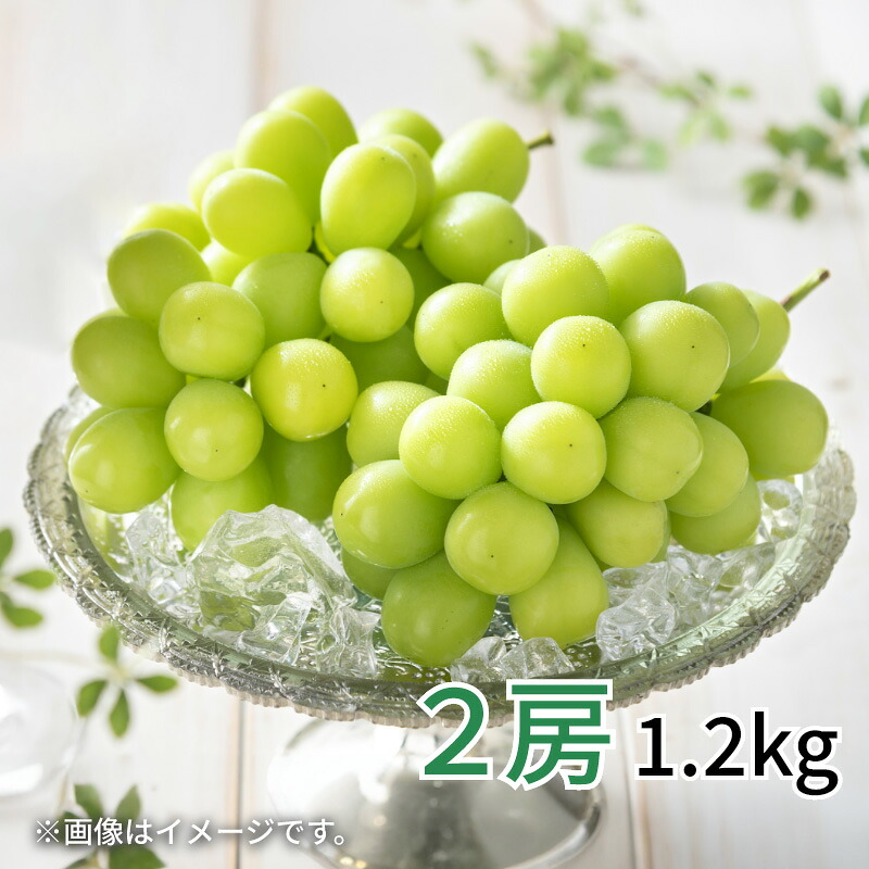 シャインマスカット 2房(1.2kg) 3房(1.6kg) 送料込み ギフト プレゼント 贈答 お取り寄せ お土産 (レビュー記入で300円OFFクーポン配布中)
