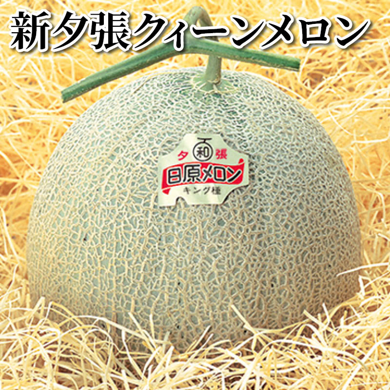 新夕張クィーンメロン 送料込み ギフト プレゼント 贈答 お取り寄せ お土産 (レビュー記入で300円OFFクーポン配布中)