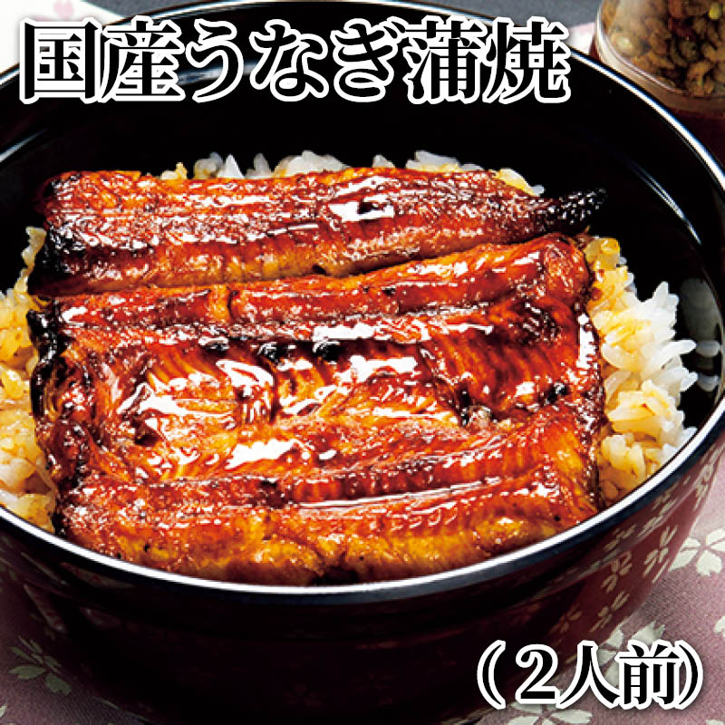 国産うなぎ蒲焼 （２人前） （４人前） 送料込み ギフト プレゼント 贈答 お取り寄せ お土産 (レビュー記入で300円OFFクーポン配布中)