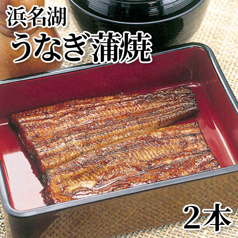 浜名湖うなぎ蒲焼 ２本 ３本 送料込み ギフト プレゼント 贈答 お取り寄せ お土産 (レビュー記入で300円OFFクーポン配布中)