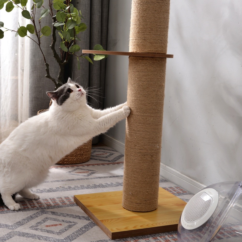 驚きの安さ キャットタワー 突っ張り スリム つっぱり 木登り コーナー おしゃれ 海外かわいい 爪とぎ おもちゃ 運動不足 安定 頑丈 ねこ 爪とぎ 新色追加 Carlavista Com