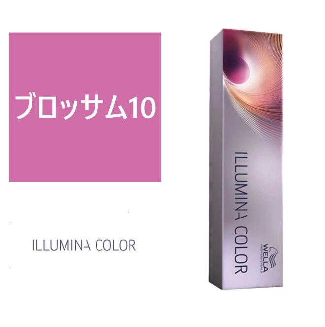楽天市場】お買い物マラソン限定☆店内全商品対象☆200円引きクーポン