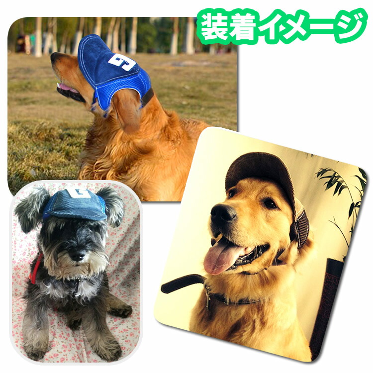 市場 犬帽子 ペット用帽子 犬の服 ワンちゃん用帽子 猫帽子 犬服 ネコ用帽子 猫服 犬猫帽子
